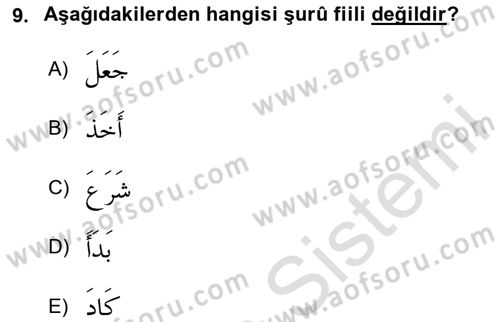 Arapça 4 Dersi 2024 - 2025 Yılı (Final) Dönem Sonu Sınav Soruları 9. Soru