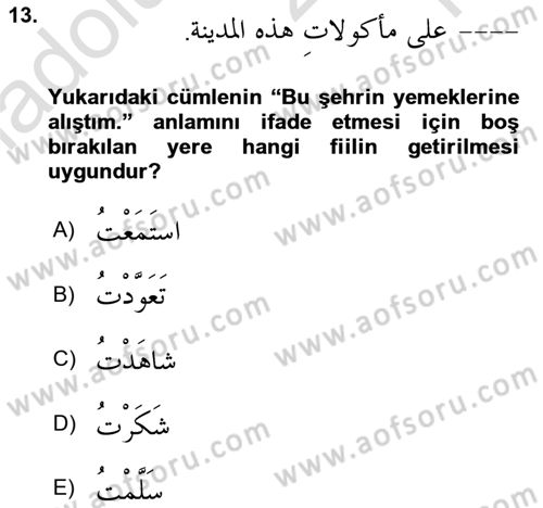 Arapça 4 Dersi 2024 - 2025 Yılı Yaz Okulu Sınav Soruları 13. Soru