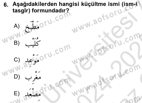 Arapça 4 Dersi Yaz Okulu Sınavı Deneme Sınav Soruları 6. Soru
