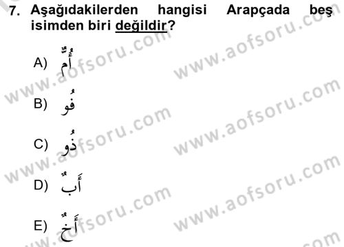 Arapça 4 Dersi Yaz Okulu Sınavı Deneme Sınav Soruları 7. Soru