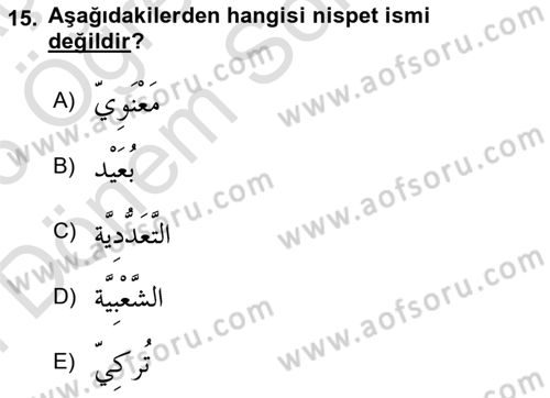 Arapça 4 Dersi 2025 - 2026 Yılı (Final) Dönem Sonu Sınav Soruları 15. Soru