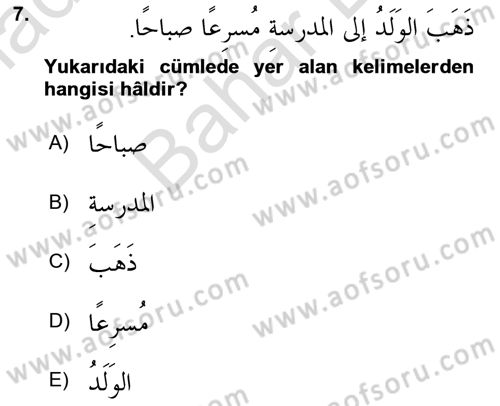 Arapça 4 Dersi 2025 - 2026 Yılı (Final) Dönem Sonu Sınav Soruları 7. Soru