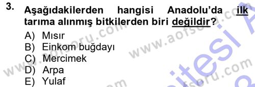 Anadolu Arkeolojisi Dersi 2012 - 2013 Yılı (Final) Dönem Sonu Sınav Soruları 3. Soru