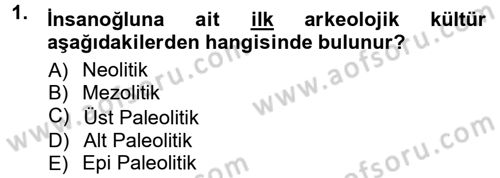 Anadolu Arkeolojisi Dersi 2013 - 2014 Yılı Tek Ders Sınav Soruları 1. Soru