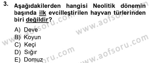 Anadolu Arkeolojisi Dersi Ara Sınavı Deneme Sınav Soruları 3. Soru