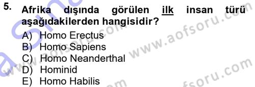 Anadolu Arkeolojisi Dersi Ara Sınavı Deneme Sınav Soruları 5. Soru