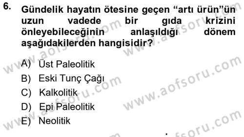 Anadolu Arkeolojisi Dersi Ara Sınavı Deneme Sınav Soruları 6. Soru