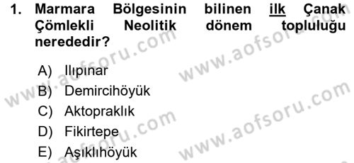 Anadolu Arkeolojisi Dersi Ara Sınavı Deneme Sınav Soruları 1. Soru
