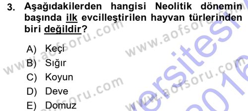 Anadolu Arkeolojisi Dersi Ara Sınavı Deneme Sınav Soruları 3. Soru