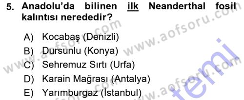 Anadolu Arkeolojisi Dersi 2015 - 2016 Yılı (Final) Dönem Sonu Sınav Soruları 5. Soru