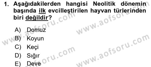 Anadolu Arkeolojisi Dersi 2016 - 2017 Yılı 3 Ders Sınav Soruları 1. Soru