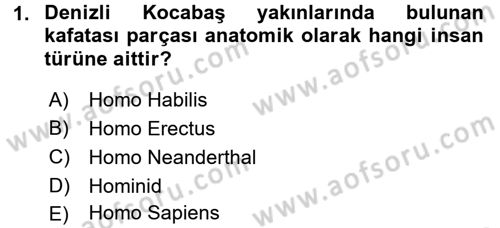 Anadolu Arkeolojisi Dersi Ara Sınavı Deneme Sınav Soruları 1. Soru
