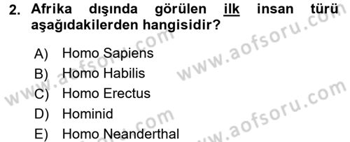 Anadolu Arkeolojisi Dersi 2016 - 2017 Yılı (Vize) Ara Sınav Soruları 2. Soru