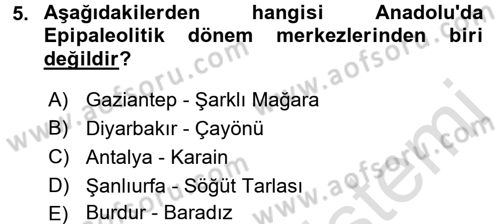 Anadolu Arkeolojisi Dersi Ara Sınavı Deneme Sınav Soruları 5. Soru