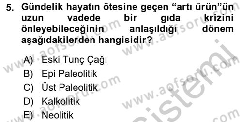 Anadolu Arkeolojisi Dersi 2018 - 2019 Yılı Yaz Okulu Sınav Soruları 5. Soru