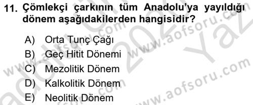 Anadolu Arkeolojisi Dersi 2020 - 2021 Yılı Yaz Okulu Sınav Soruları 11. Soru