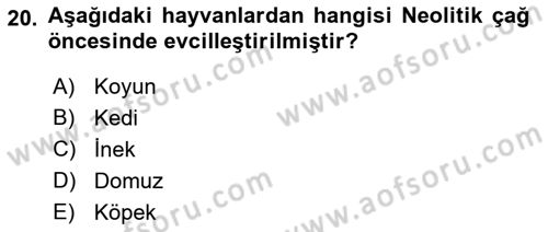 Anadolu Arkeolojisi Dersi Ara Sınavı Deneme Sınav Soruları 20. Soru