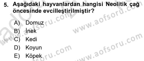 Anadolu Arkeolojisi Dersi 2023 - 2024 Yılı Yaz Okulu Sınav Soruları 5. Soru