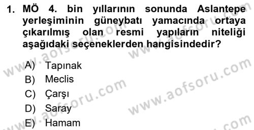 Anadolu Arkeolojisi Dersi 2024 - 2025 Yılı (Vize) Ara Sınav Soruları 1. Soru