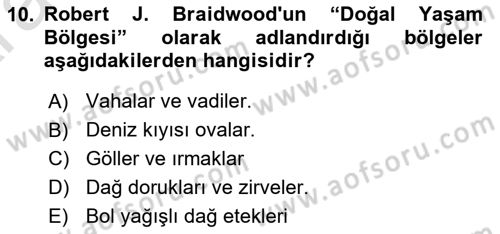 Anadolu Arkeolojisi Dersi Ara Sınavı Deneme Sınav Soruları 10. Soru