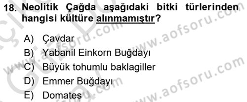 Anadolu Arkeolojisi Dersi Ara Sınavı Deneme Sınav Soruları 18. Soru