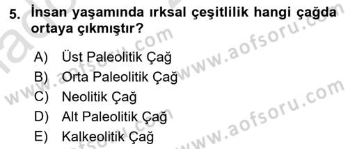 Anadolu Arkeolojisi Dersi Ara Sınavı Deneme Sınav Soruları 5. Soru