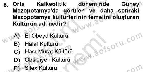 Anadolu Arkeolojisi Dersi 2024 - 2025 Yılı (Vize) Ara Sınav Soruları 8. Soru