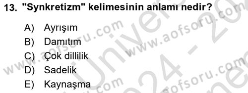 Anadolu Arkeolojisi Dersi 2024 - 2025 Yılı (Final) Dönem Sonu Sınav Soruları 13. Soru