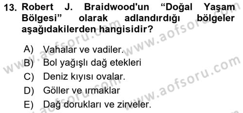 Anadolu Arkeolojisi Dersi 2024 - 2025 Yılı Yaz Okulu Sınav Soruları 13. Soru