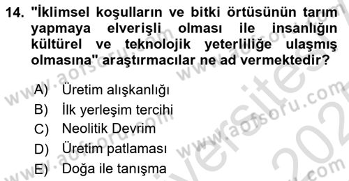 Anadolu Arkeolojisi Dersi 2024 - 2025 Yılı Yaz Okulu Sınav Soruları 14. Soru