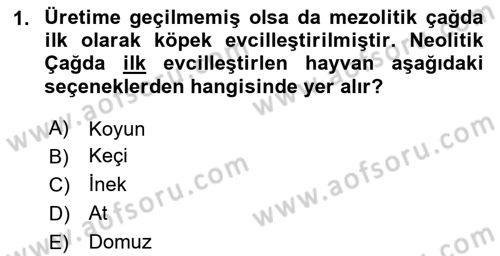 Anadolu Arkeolojisi Dersi 2025 - 2026 Yılı (Vize) Ara Sınav Soruları 1. Soru