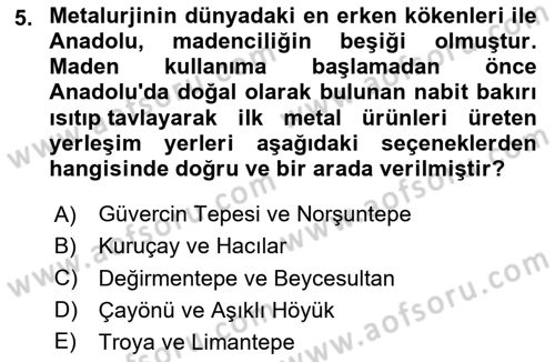 Anadolu Arkeolojisi Dersi 2025 - 2026 Yılı (Vize) Ara Sınav Soruları 5. Soru