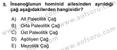 Anadolu Arkeolojisi Dersi 2025 - 2026 Yılı Yaz Okulu Sınav Soruları 5. Soru