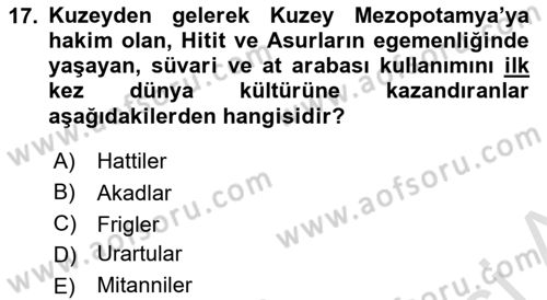 Arkeolojik Alan Yönetimi Dersi 2023 - 2024 Yılı (Final) Dönem Sonu Sınav Soruları 17. Soru
