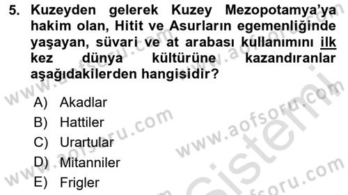 Arkeolojik Alan Yönetimi Dersi 2024 - 2025 Yılı Yaz Okulu Sınav Soruları 5. Soru