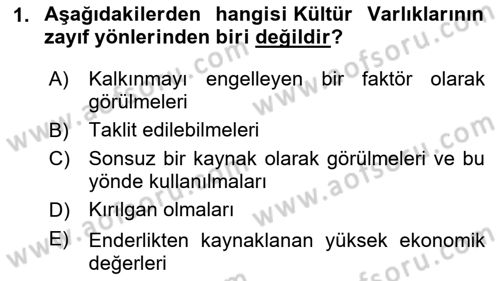Arkeolojik Alan Yönetimi Dersi 2025 - 2026 Yılı (Vize) Ara Sınav Soruları 1. Soru