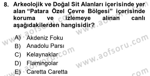 Arkeolojik Alan Yönetimi Dersi 2025 - 2026 Yılı (Final) Dönem Sonu Sınav Soruları 8. Soru