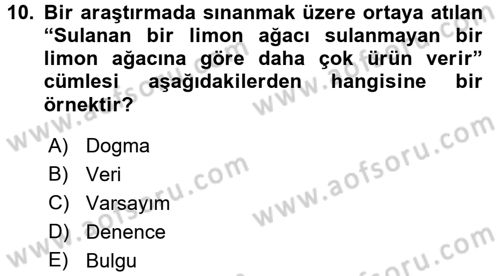 Sosyal Bilimlerde Araştırma Yöntemleri Dersi Ara Sınavı Deneme Sınav Soruları 10. Soru