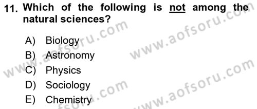 Research Methods Dersi 2024 - 2025 Yılı Yaz Okulu Sınav Soruları 11. Soru