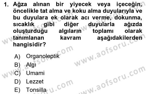 Gastronominin Temelleri Dersi 2021 - 2022 Yılı (Vize) Ara Sınav Soruları 1. Soru