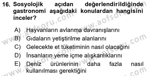 Gastronominin Temelleri Dersi 2021 - 2022 Yılı (Final) Dönem Sonu Sınav Soruları 16. Soru