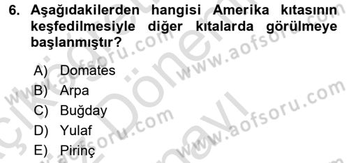 Gastronominin Temelleri Dersi 2021 - 2022 Yılı (Final) Dönem Sonu Sınav Soruları 6. Soru