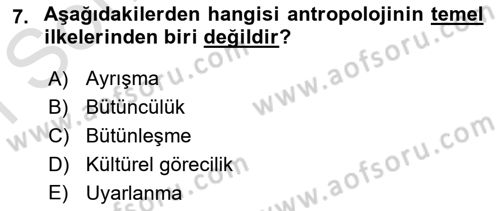 Gastronominin Temelleri Dersi 2021 - 2022 Yılı (Final) Dönem Sonu Sınav Soruları 7. Soru