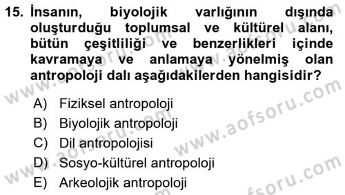 Gastronominin Temelleri Dersi 2021 - 2022 Yılı Yaz Okulu Sınav Soruları 15. Soru