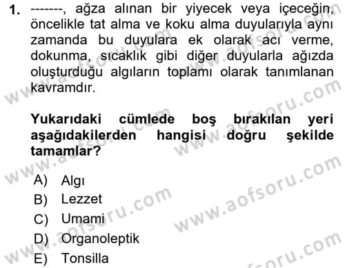 Gastronominin Temelleri Dersi 2022 - 2023 Yılı (Vize) Ara Sınav Soruları 1. Soru