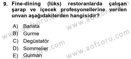 Gastronominin Temelleri Dersi 2022 - 2023 Yılı (Vize) Ara Sınav Soruları 9. Soru