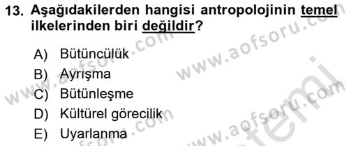 Gastronominin Temelleri Dersi 2022 - 2023 Yılı Yaz Okulu Sınav Soruları 13. Soru