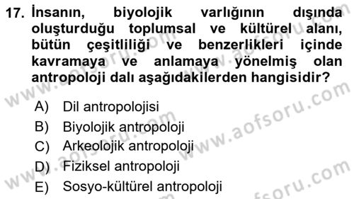 Gastronominin Temelleri Dersi 2022 - 2023 Yılı Yaz Okulu Sınav Soruları 17. Soru