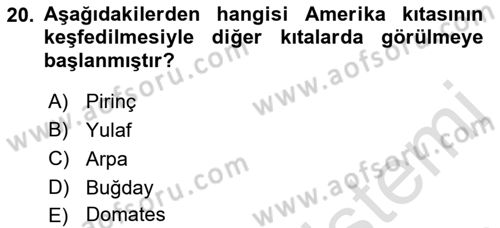 Gastronominin Temelleri Dersi 2022 - 2023 Yılı Yaz Okulu Sınav Soruları 20. Soru