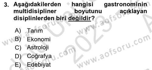 Gastronominin Temelleri Dersi 2023 - 2024 Yılı (Vize) Ara Sınav Soruları 3. Soru